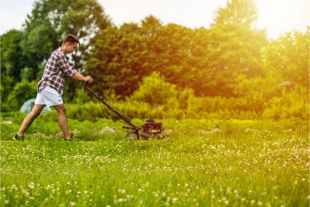 can-i-mow-my-lawn-after-it-s-rained-how-long-you-should-wait-dream