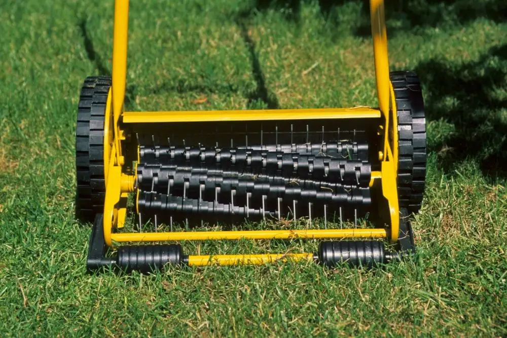 What Is A Lawn Scarifier (And How To Use It) Dream Lawns