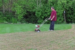 Can you dethatch a wet lawn