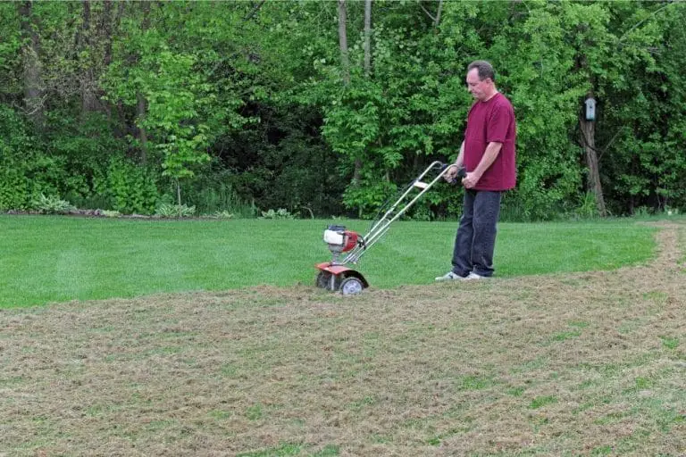 Read more about the article Can You Dethatch A Wet Lawn?