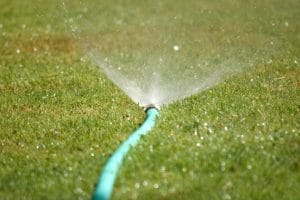 Can you overwater grass (Signs that you’re overwatering your lawn)