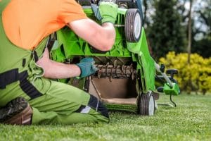 Do dethatching blades work