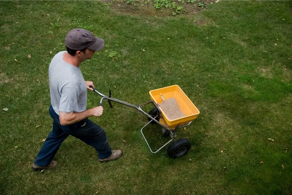 You are currently viewing What Happens If I Over Fertilize My Lawn? (And How To Repair)