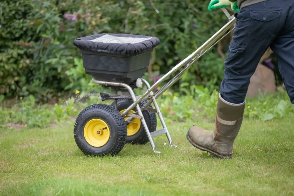 What happens if you over-fertilize your lawn?