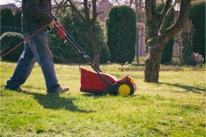 What is verticutting your lawn (and the benefits)