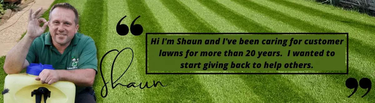 Get the dream lawn you want